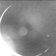 Illustration for article titled Earths Most Distant Web Cam Pics Went Live This Week